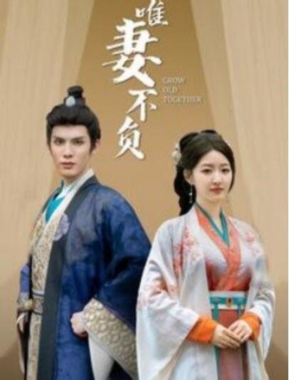 《唯妻不负》短剧高清全集免费在线观看