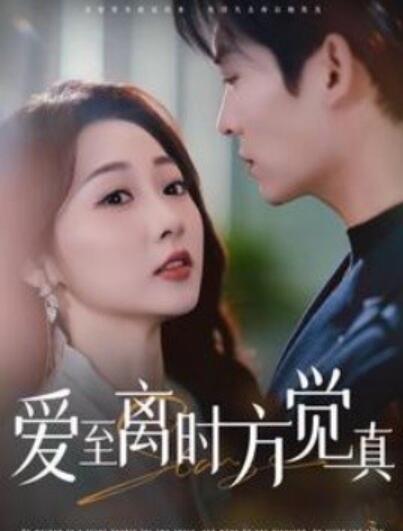 《爱至离时方觉真》短剧高清全集免费在线观看