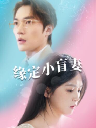 《缘定小盲妻》短剧高清全集免费在线观看