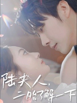 《陆夫人，二胎了解一下》短剧高清全集免费在线观看