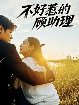《不好惹的顾助理》短剧高清全集免费在线观看