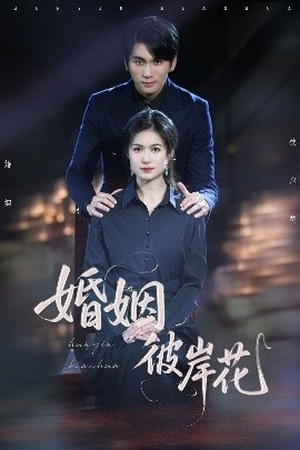 《婚姻彼岸花》短剧高清全集免费在线观看