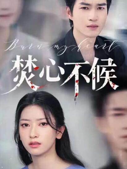 《焚心不候》短剧高清全集免费在线观看