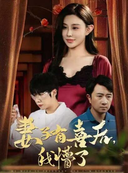 《妻子有喜后，我懵了》短剧高清全集免费在线观看