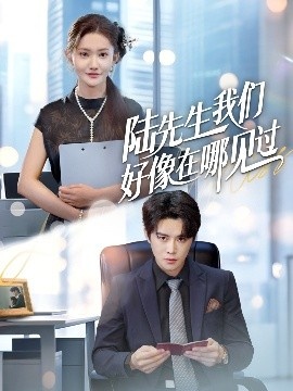 《陆先生我们好像在哪见过》短剧高清全集免费在线观看