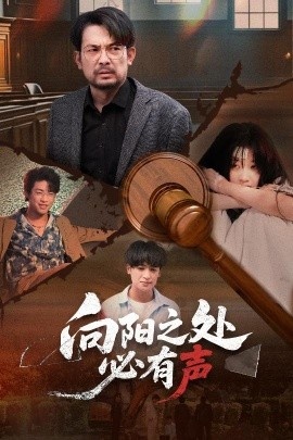 《向阳之处必有声》短剧高清全集免费在线观看
