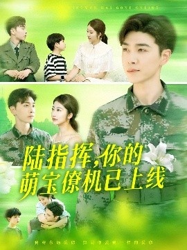 《陆指挥，你的萌宝僚机已上线》短剧高清全集免费在线观看