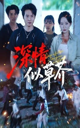 《深情似草芥》短剧高清全集免费在线观看