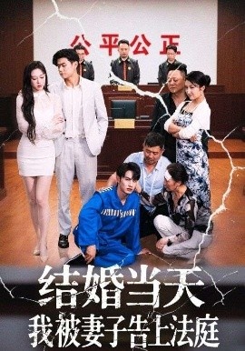 《结婚当天我被妻子告上法庭》短剧高清全集免费在线观看