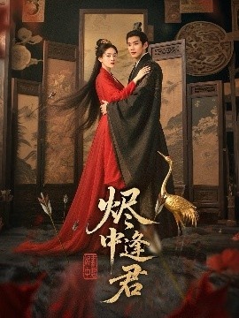 《烬中逢君》短剧高清全集免费在线观看