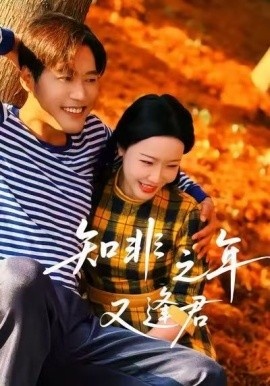 《知非之年又逢君》短剧高清全集免费在线观看