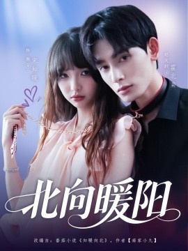 《北向暖阳》短剧高清全集免费在线观看