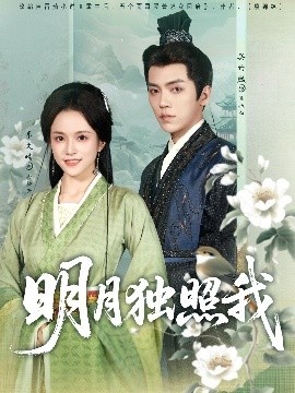 《明月独照我》短剧高清全集免费在线观看