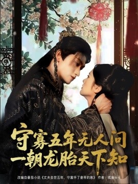 《守寡五年无人问一朝龙胎天下知》短剧高清全集免费在线观看