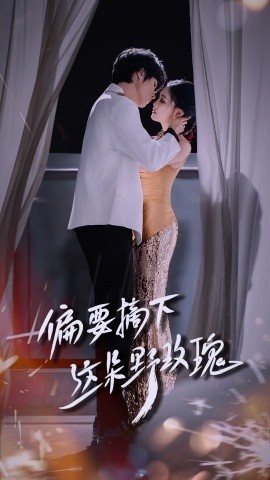 《偏要摘下这朵野玫瑰》短剧高清全集免费在线观看