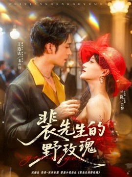 《裴先生的野玫瑰》短剧高清全集免费在线观看