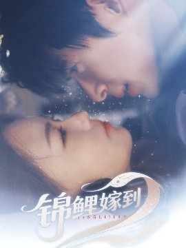 《锦鲤嫁到》短剧高清全集免费在线观看