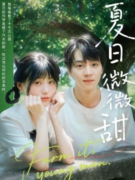 《夏日微微甜》短剧高清全集免费在线观看
