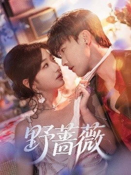 《野蔷薇》短剧高清全集免费在线观看