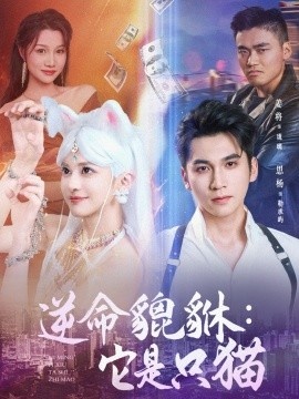 《逆命貔貅：它是只猫》短剧高清全集免费在线观看