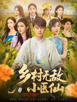 《乡村无敌小医仙》短剧高清全集免费在线观看