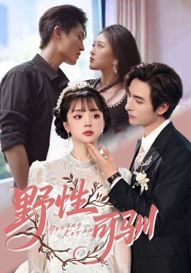 《野性可驯》短剧高清全集免费在线观看