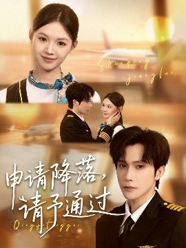 《申请降落，请予通过》短剧高清全集免费在线观看