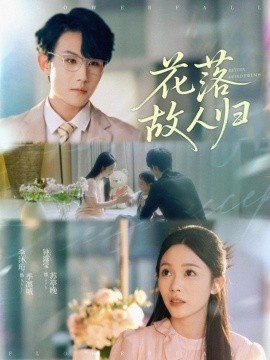 《花落故人归》短剧高清全集免费在线观看