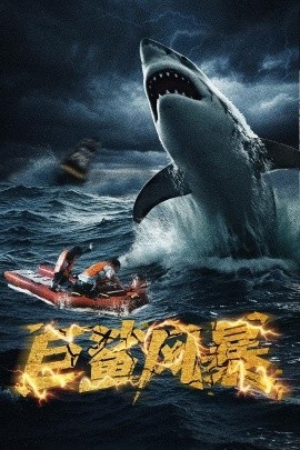 《巨鲨风暴》短剧高清全集免费在线观看