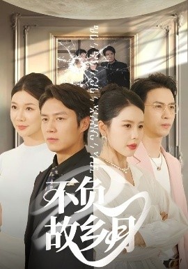 《不负故乡月》短剧高清全集免费在线观看