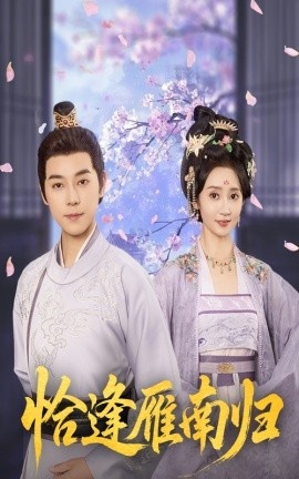 《恰逢雁南归》短剧高清全集免费在线观看