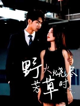 《野火烧尽芳草时》短剧高清全集免费在线观看