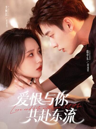 《爱恨与你共赴东流》短剧高清全集免费在线观看