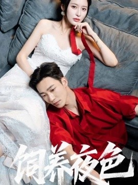 《饲养夜色》短剧高清全集免费在线观看