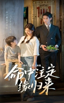 《命中注定缘归来》短剧高清全集免费在线观看