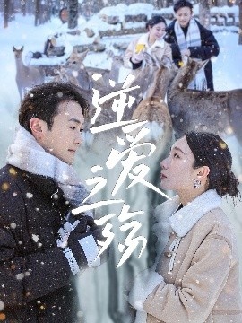 《逆爱之殇》短剧高清全集免费在线观看