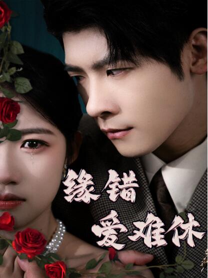 《缘错爱难休》短剧高清全集免费在线观看