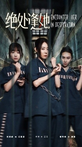 《绝处逢她》短剧高清全集免费在线观看