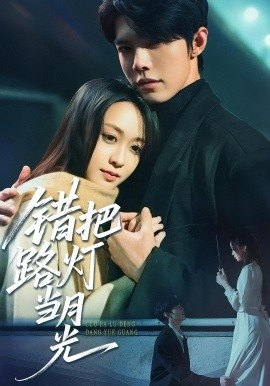 《错把路灯当月光》短剧高清全集免费在线观看