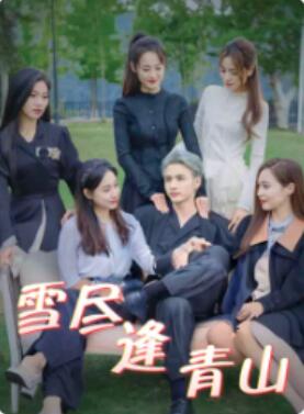 《雪尽逢青山》短剧高清全集免费在线观看