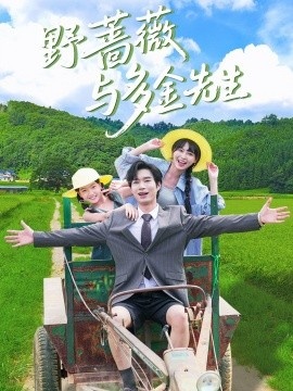 《野蔷薇与多金先生》短剧高清全集免费在线观看