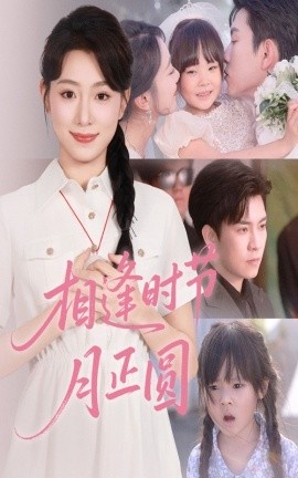 《相逢时节月正圆》短剧高清全集免费在线观看