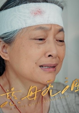 《慈母无泪》短剧高清全集免费在线观看