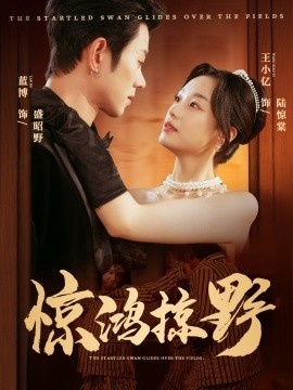 《惊鸿掠野》短剧高清全集免费在线观看