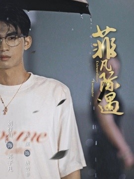 《菲凡际遇》短剧高清全集免费在线观看