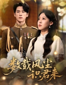 《数载风尘识君来》短剧高清全集免费在线观看