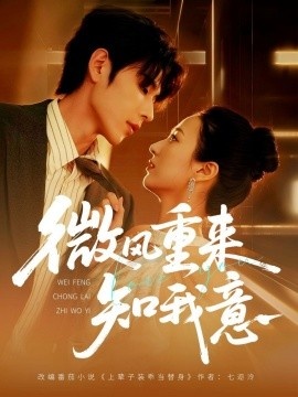 《微风重来知我意》短剧高清全集免费在线观看