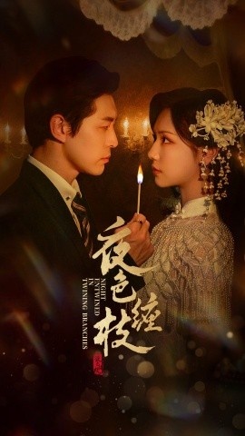 《夜色缠枝》短剧高清全集免费在线观看