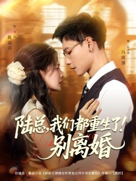 《陆总，我们都重生了！别离婚》短剧高清全集免费在线观看