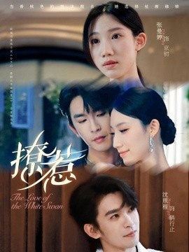 《撩惹》短剧高清全集免费在线观看